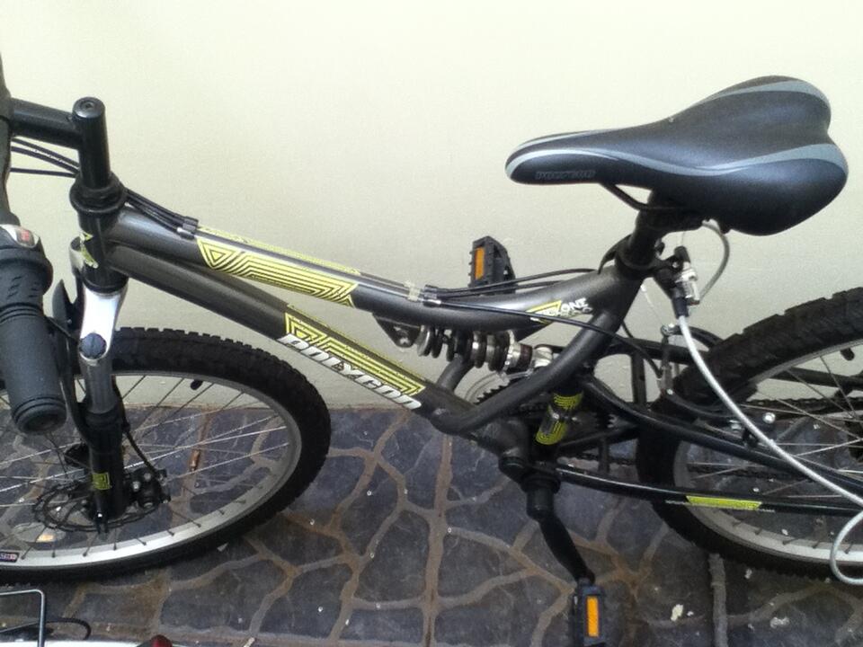 polygon cycleone 300