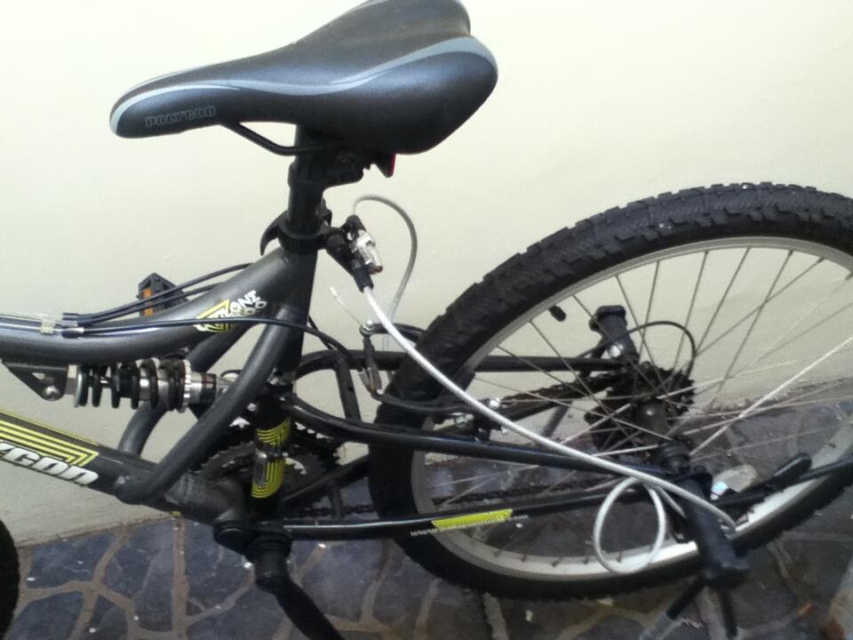 polygon cycleone 300