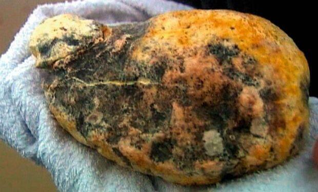 AMBERGRIS