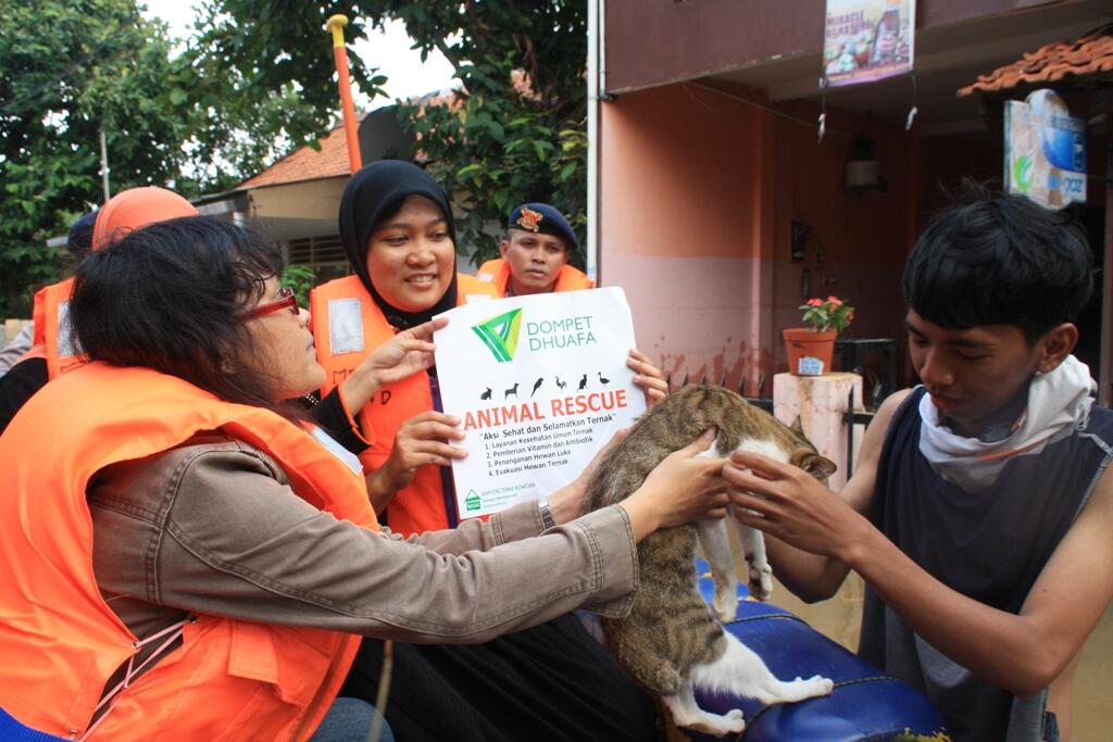 Upaya Penyelamatan Hewan-hewan di Tengah Banjir Jakarta