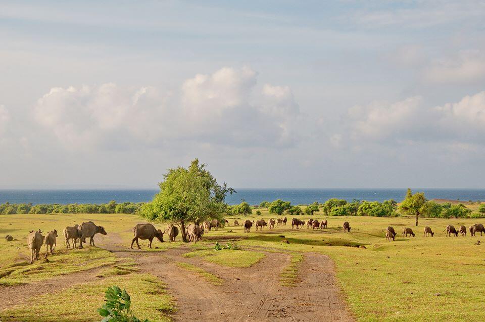 Mengenal Gunung Tambora, Pulau Sumbawa :)