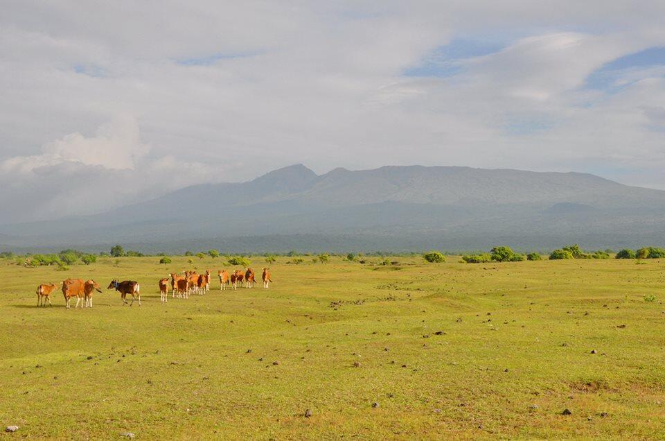 Mengenal Gunung Tambora, Pulau Sumbawa :)