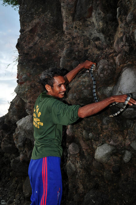 NAMA PULAU SESUAI DENGAN HEWAN PENGHUNINYA