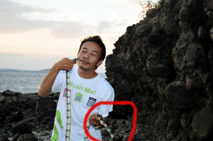 NAMA PULAU SESUAI DENGAN HEWAN PENGHUNINYA