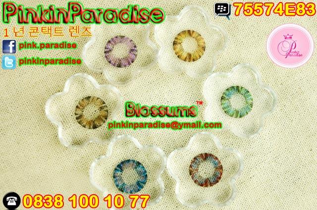 BLOSSUMS® Korea Pinkinparadise™ Soft Lens - Contact Lens - Softlens CANTIK