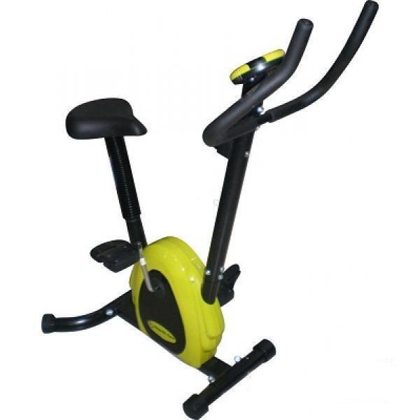 Magnetic Bike 6203