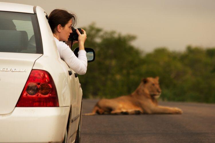 Jalan-jalan Ke Taman Nasional Kruger yuk, Gan!