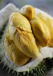 Tip &amp; Trik Memilih Durian / Duren