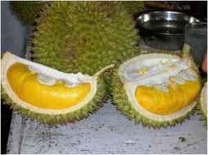 Tip &amp; Trik Memilih Durian / Duren
