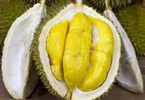 Tip &amp; Trik Memilih Durian / Duren