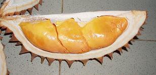 Tip &amp; Trik Memilih Durian / Duren