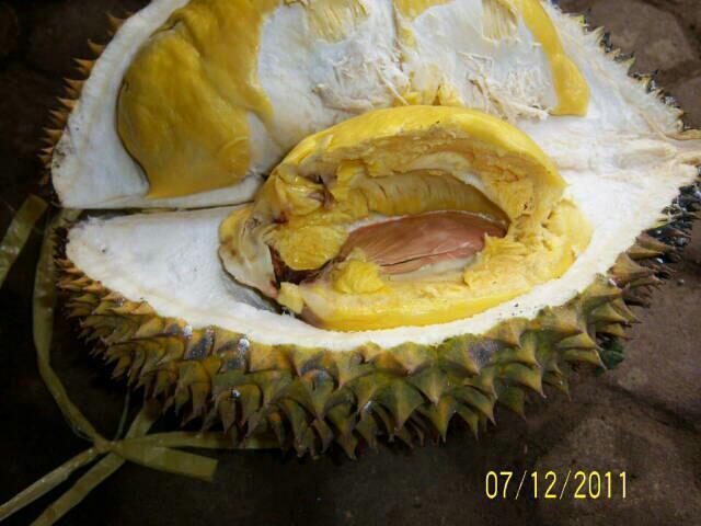 Tip &amp; Trik Memilih Durian / Duren