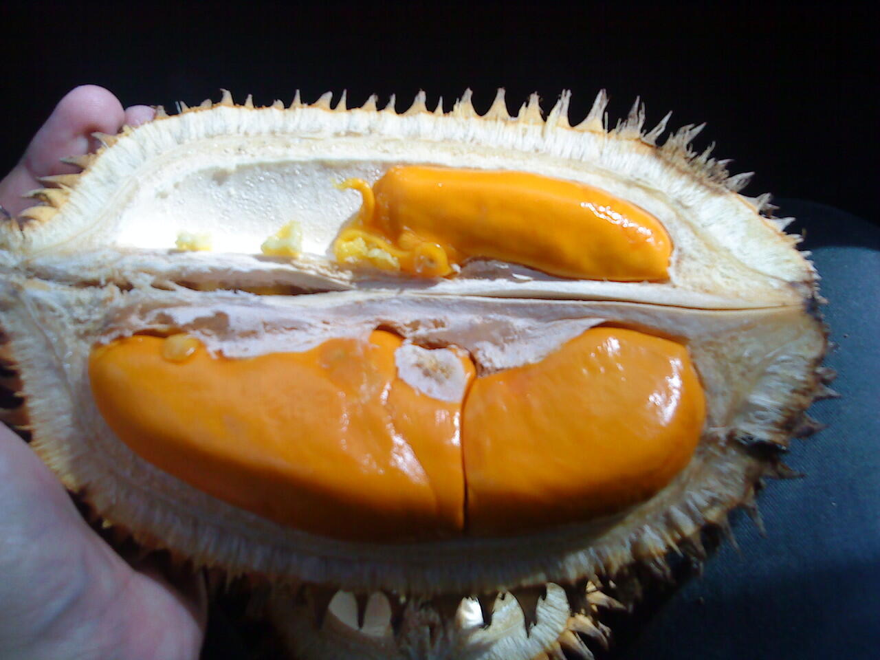 Tip &amp; Trik Memilih Durian / Duren