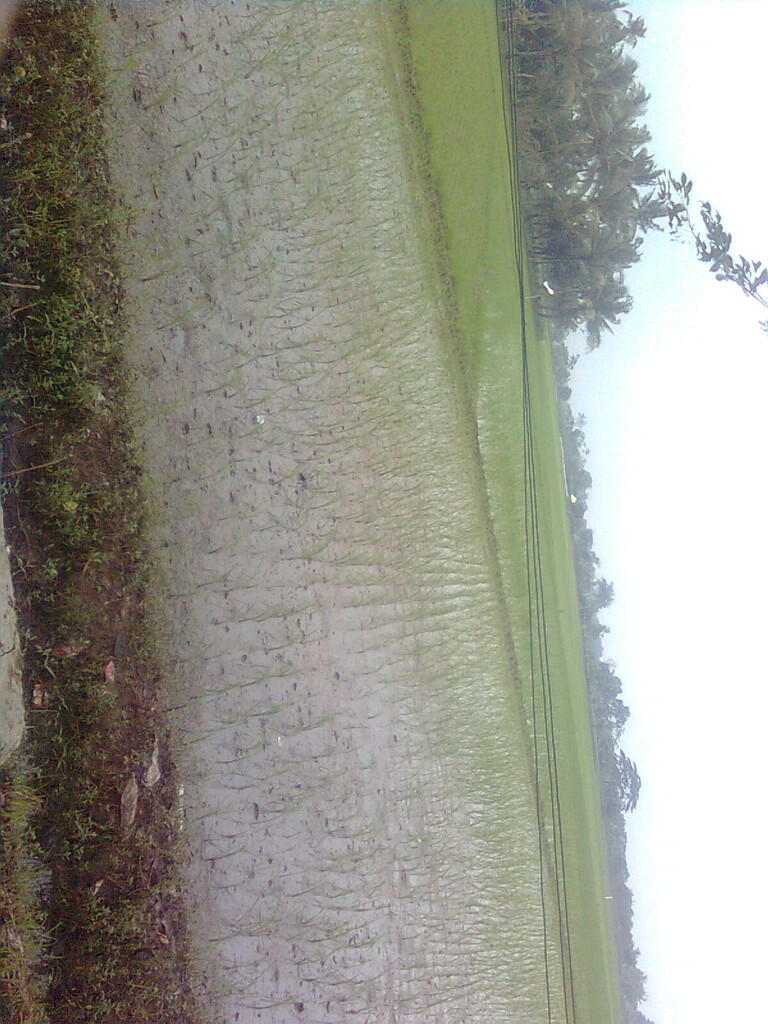 Investasi Sawah