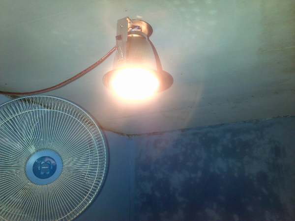 Lampu Penghangat Bayi di Musim Hujan