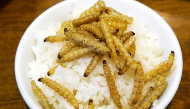 Imomushi, Ulat Goreng Cemilan Tradisional Khas Jepang