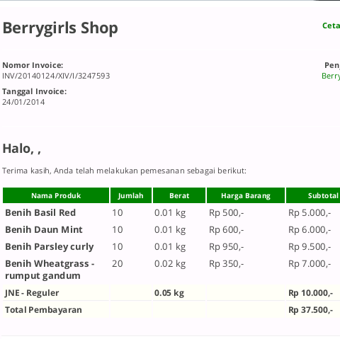 Pengalaman Beli Online ke "Berry Girl Shop"