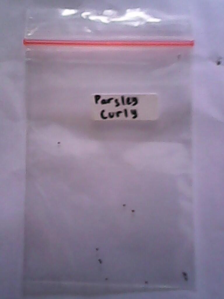 Pengalaman Beli Online ke &quot;Berry Girl Shop&quot;