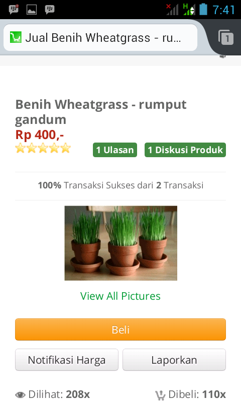 Pengalaman Beli Online ke &quot;Berry Girl Shop&quot;