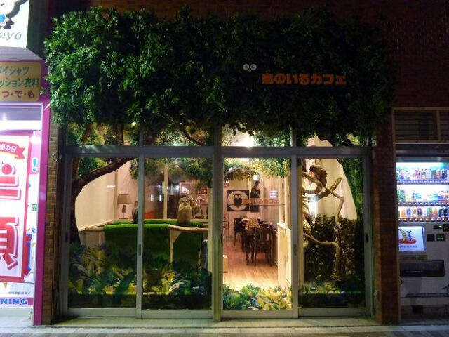 Cafe Burung Hantu Jepang (full pic)