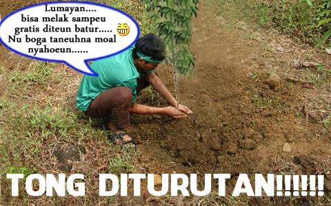 Enak aja nanem di tanah orang.....