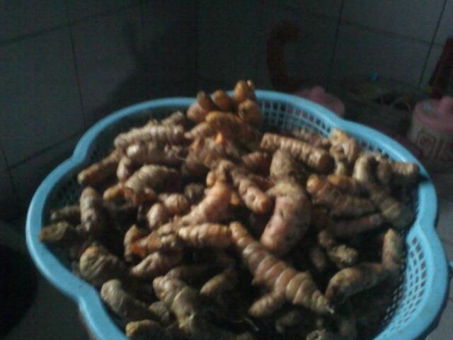 Enak aja nanem di tanah orang.....