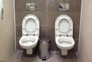 1 toilet dengan 2 JAMBAN di rusia.