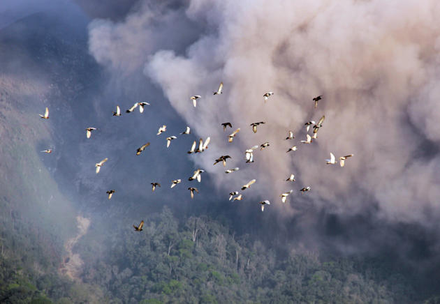 galery letusan sinabung