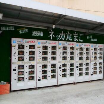 Jepang menciptakan mesin penjual telur otomatis