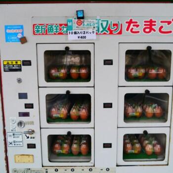 Jepang menciptakan mesin penjual telur otomatis