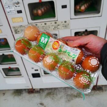 Jepang menciptakan mesin penjual telur otomatis
