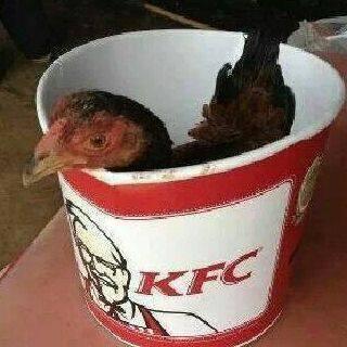 Menu Baru dari KFC setelah diskon rabu spesial dan snack attack