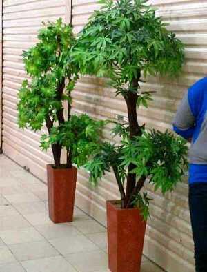 Terjual pohon artifisial imitasi tanaman  hias  pohon 