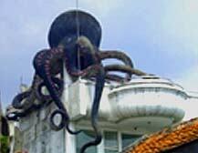 Berbagai Macam Rumah Unik Di Indonesia