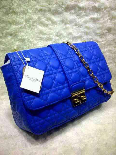 Tas Dior bubble