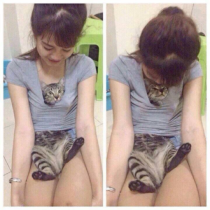 Percaya gak? Jadi kucing itu enak gan!