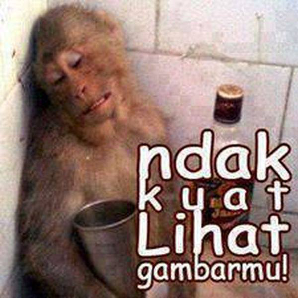 ane selalu ngakak klo liat gambar ini