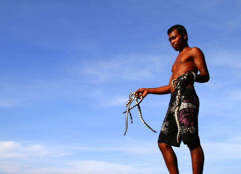 Udah Tau Belum Pulau Ular (Kampung Kelahiran Ane Gan) &#91;Pict&#93;