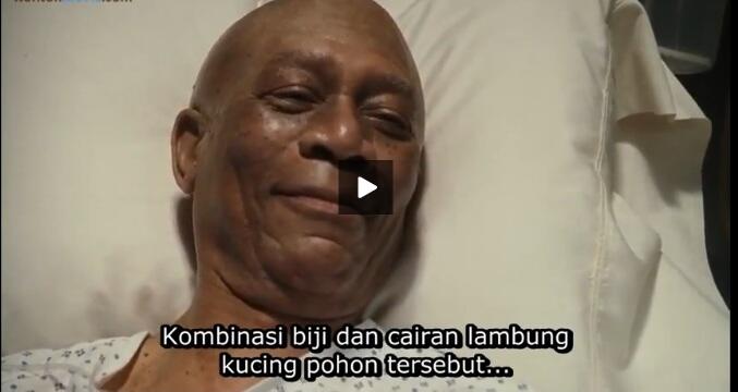 MORGAN FREEMAN NGOMONG TENTANG KOPI LUWAK