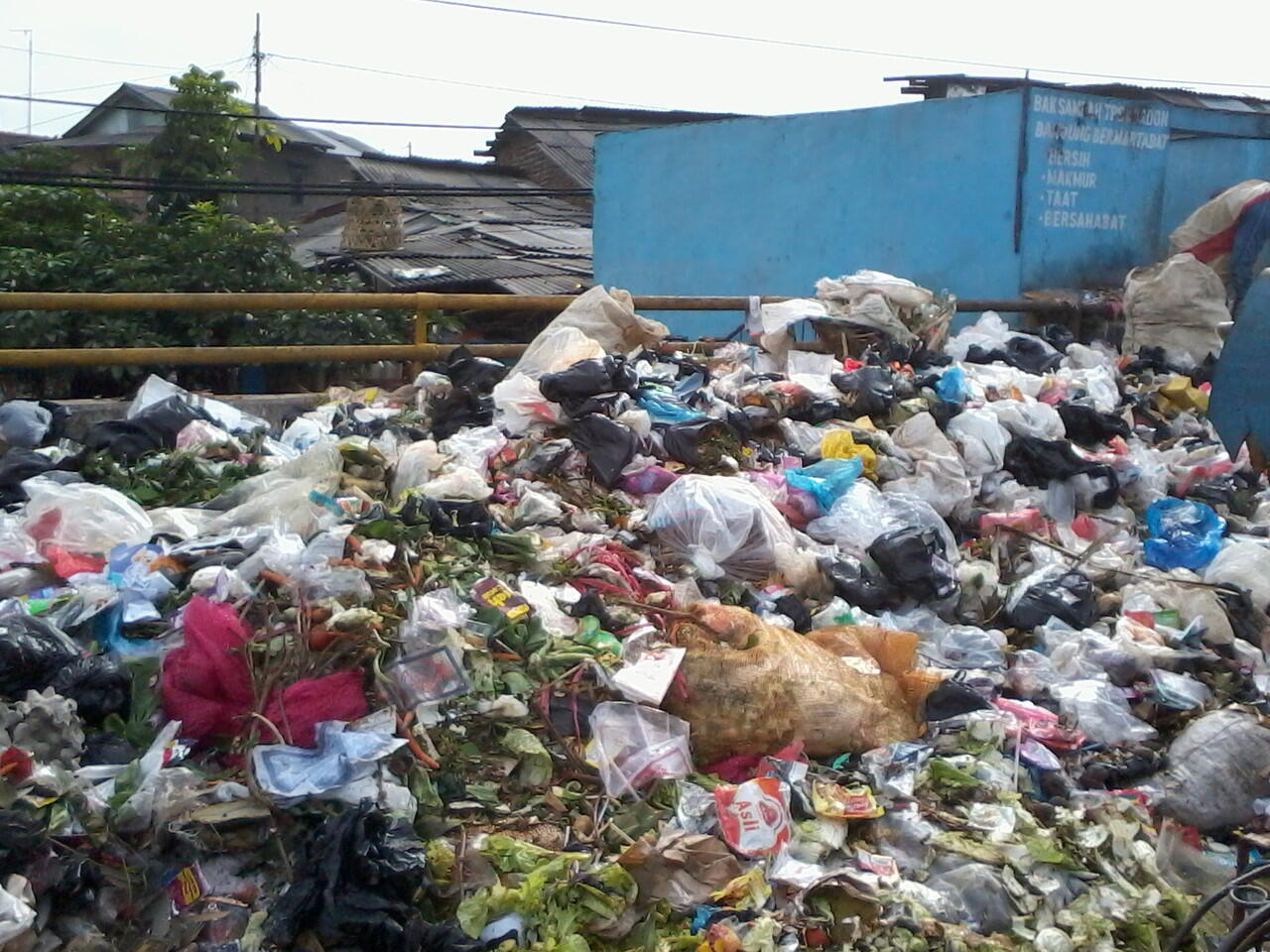 Penuh Sampah, Bandung Dibilang &quot;The City of Pigs&quot;