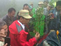 Jokowi Tanam 40 Ribu Pohon di Puncak, &#91;&#91; Aher mana ya ??? &#93;&#93;