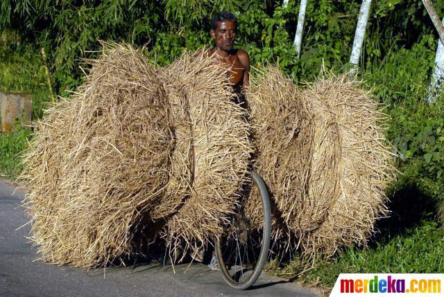 Foto kelebihan muatan di seluruh dunia &#91;ngakak&#93;