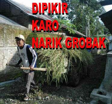 Forex bbm