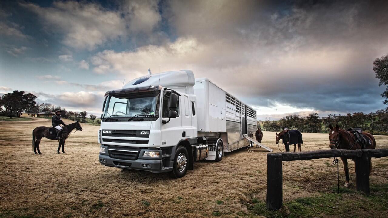 &#91;COOL PIC INSIDE&#93; DAF TRUCK