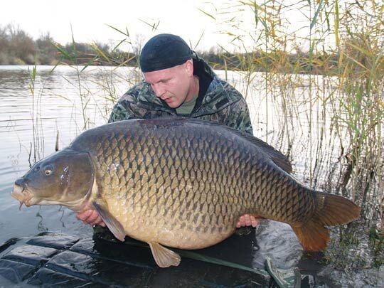 Only in Russia: Pernah lihat ikan mas sebesar ini?