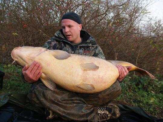 Only in Russia: Pernah lihat ikan mas sebesar ini?