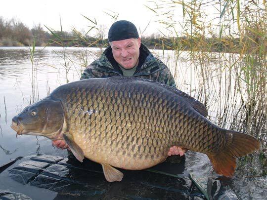 Only in Russia: Pernah lihat ikan mas sebesar ini?