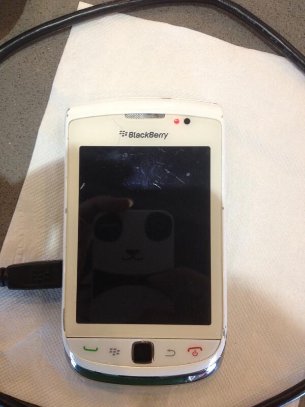 Wts bb torch 9800 murmer apa adanya