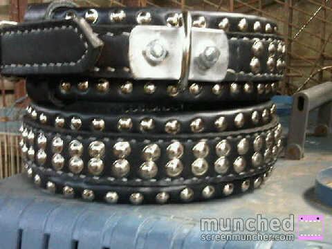 JUAL LEATHER COLLAR KULIT DUGONG (Adu Bagong) PITBUL ONLY MURMER !!!
