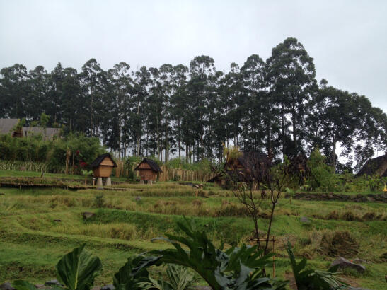 &#91;Wisata&#93; Dusun Bambu. Objek wisata di Bandung yang mesti dijajal :D
